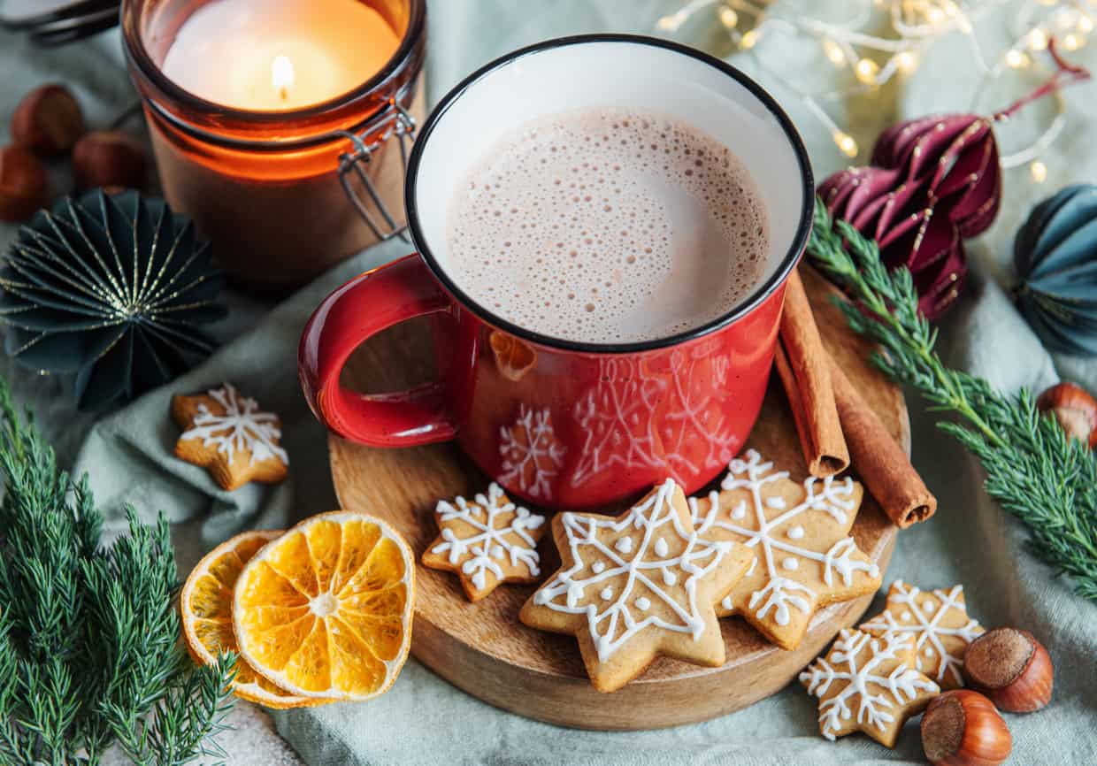 A cup of hot cocoa with cinnamon sticks and gingerbread cookies.