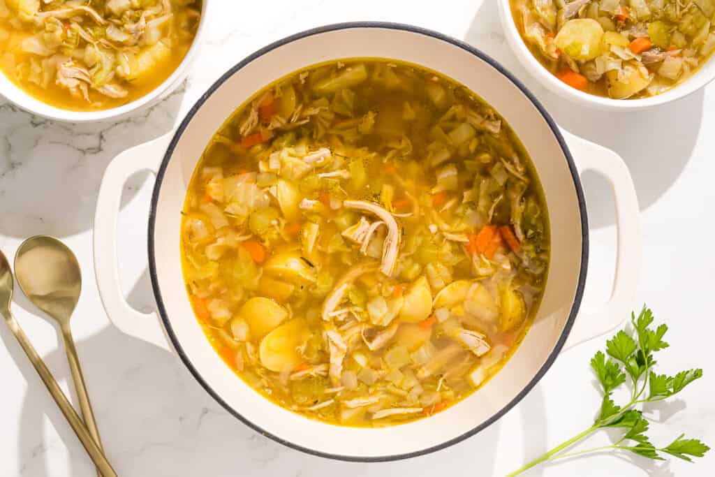 A bowl of soup with chicken and cabbage.