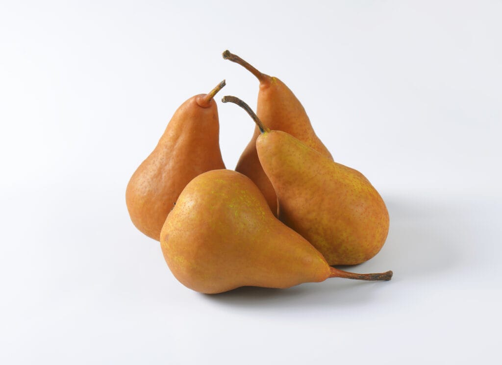 Three pears, winter fruits, on a white background.