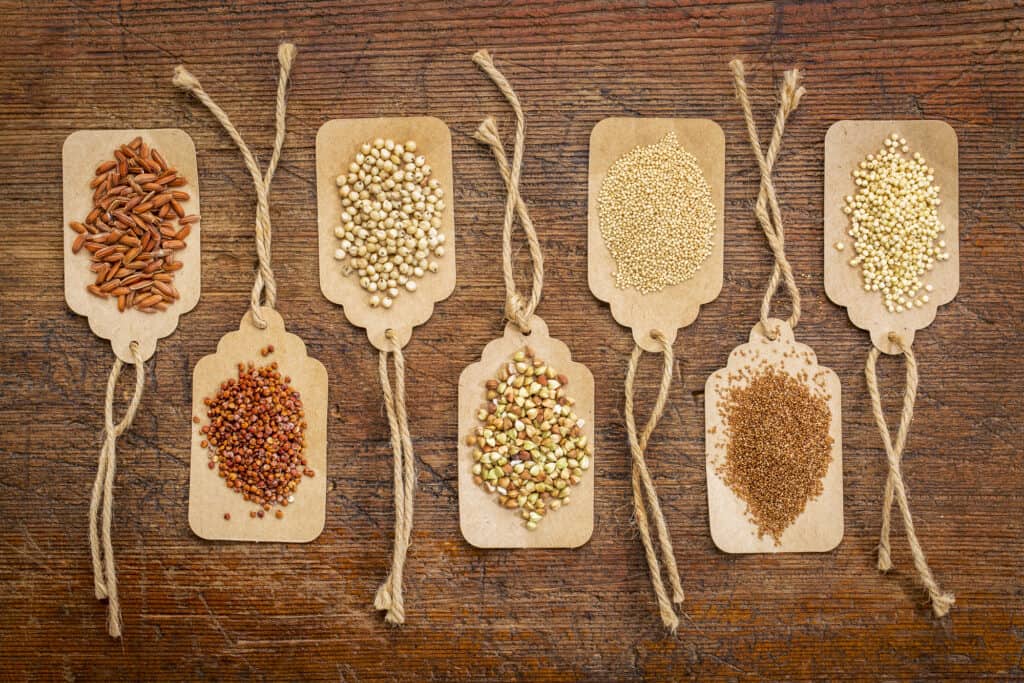 A group of wooden tags with different types of seeds on them.