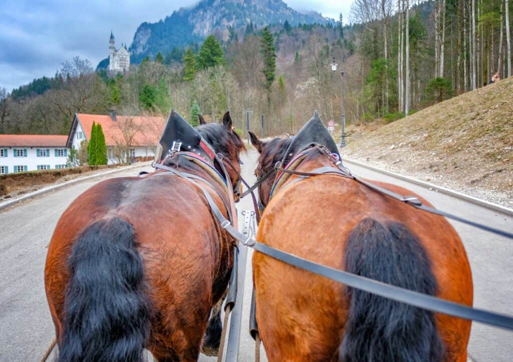 Two horses pulling a carriage down a road with mountains in the background near Neuschwanstein Castle.