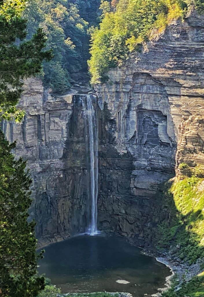 A waterfall in the middle of a forest.