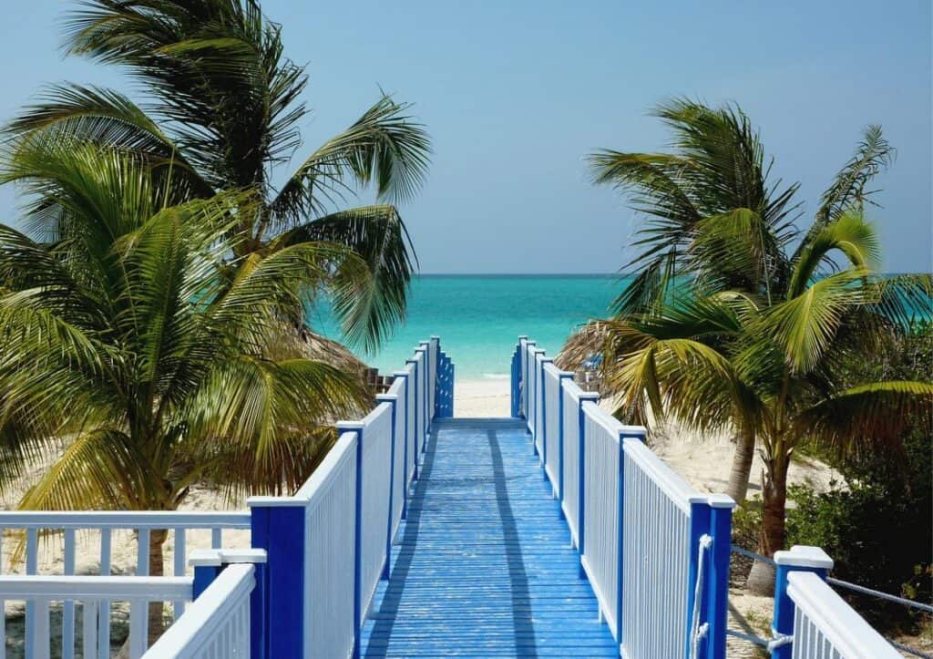 A blue walkway leading to a beach with palm trees.