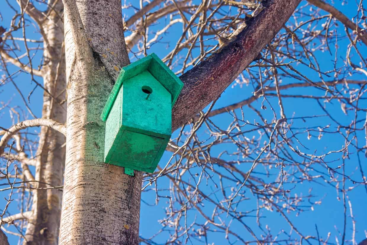 A green birdhouse is hanging from a tree.