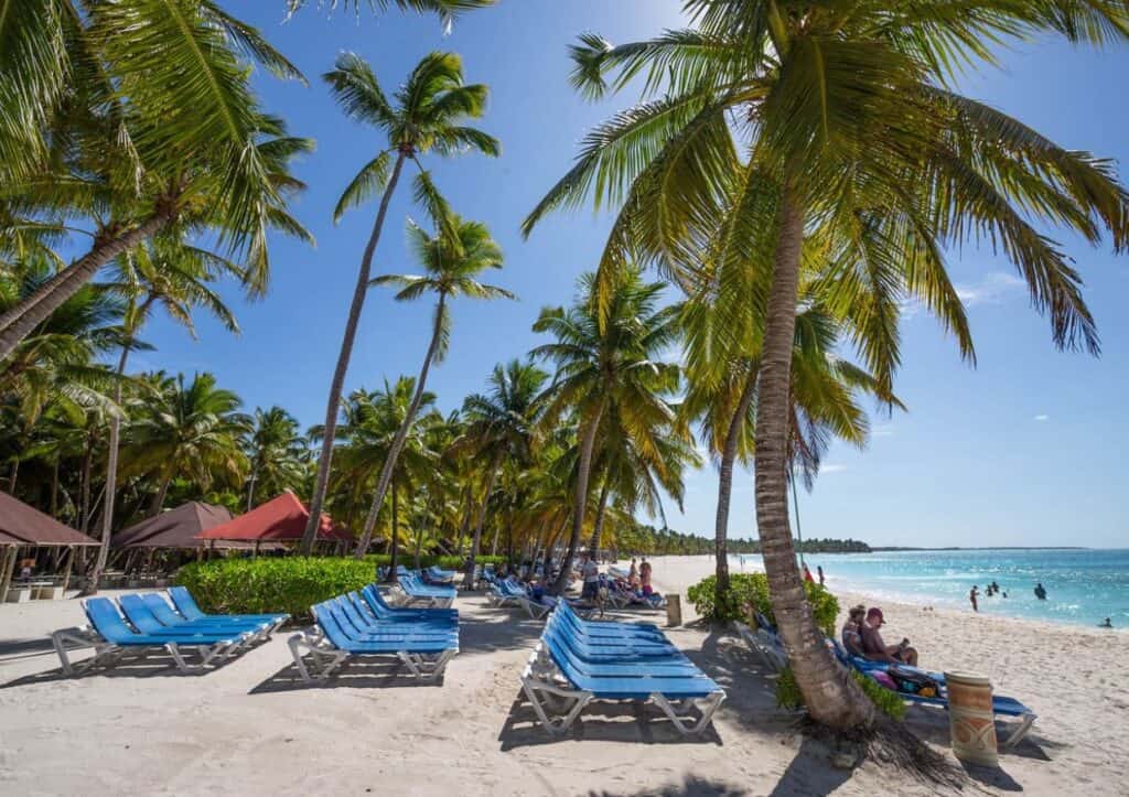A beach with blue lounge chairs and palm trees.