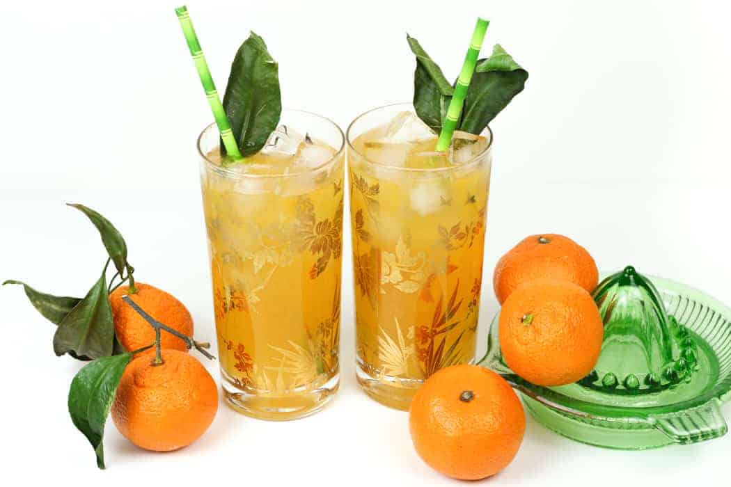 Two glasses of orange juice with ice and green leaves.