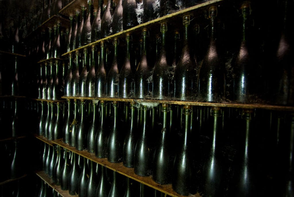 A row of champagne bottles in a dark cellar.