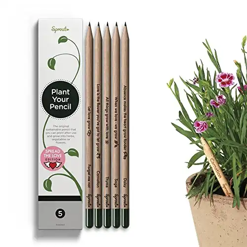 Sprout Wood-Cased Pencils