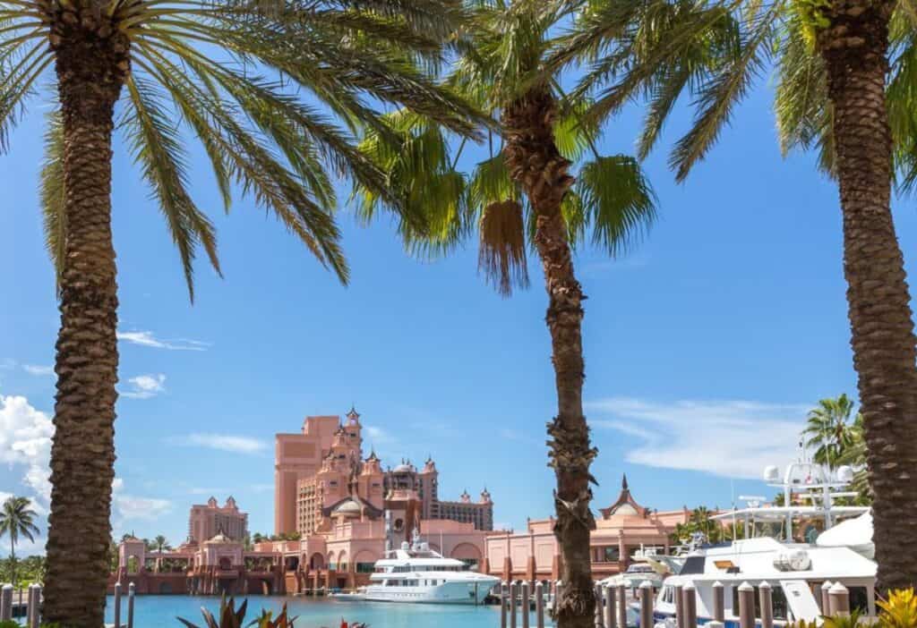 Palm trees in front of a marina with a castle in the background.