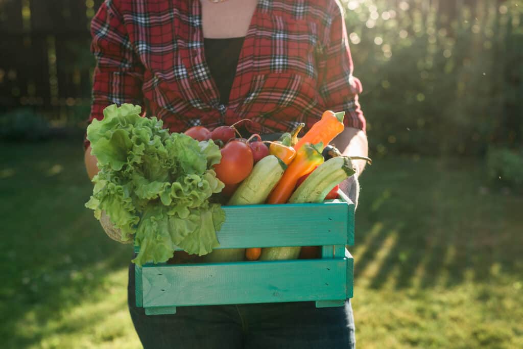A woman holding a crate full of vegetables.