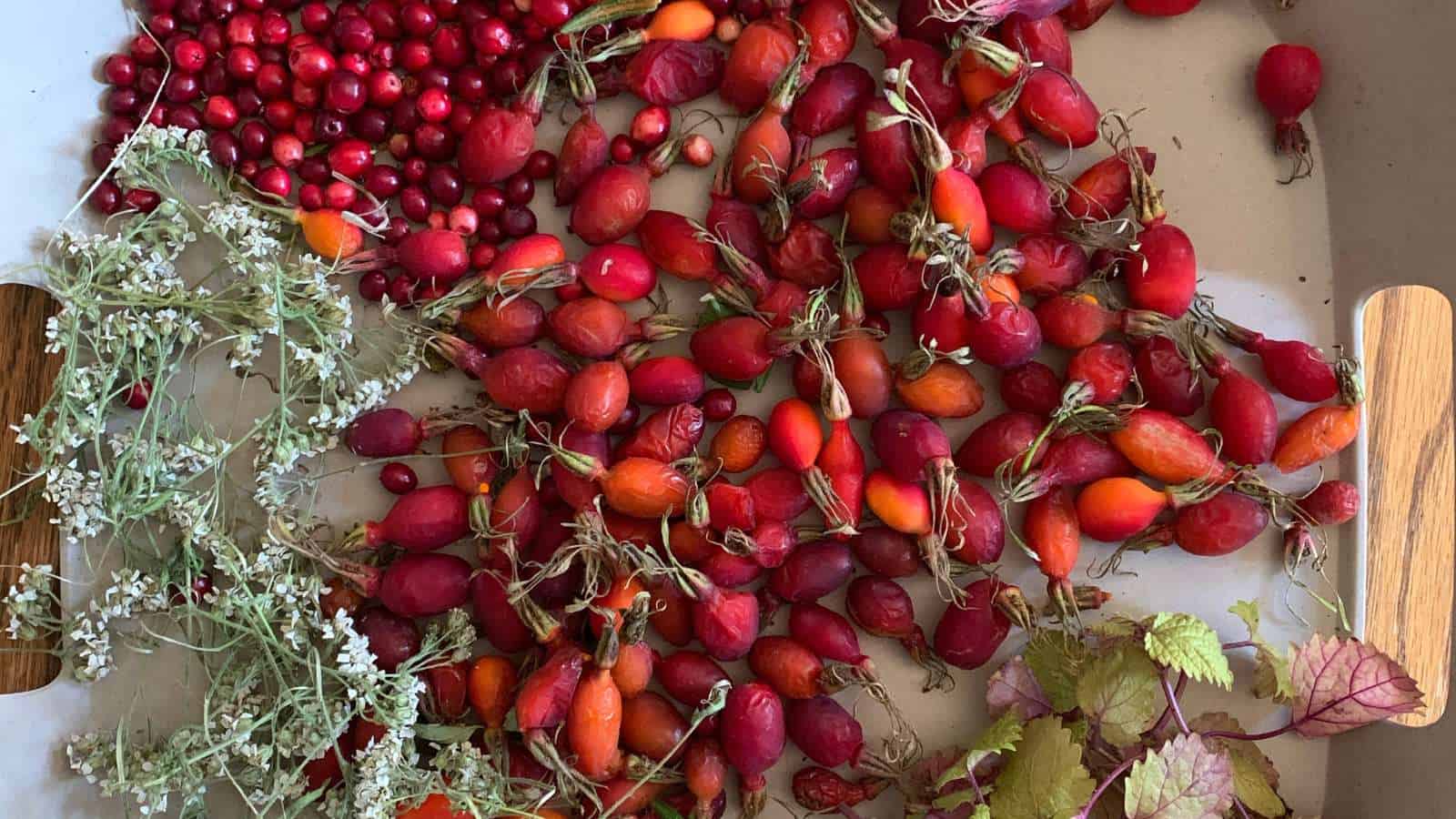 Dried rosehips, cranberries, and wildflowers on a tray.