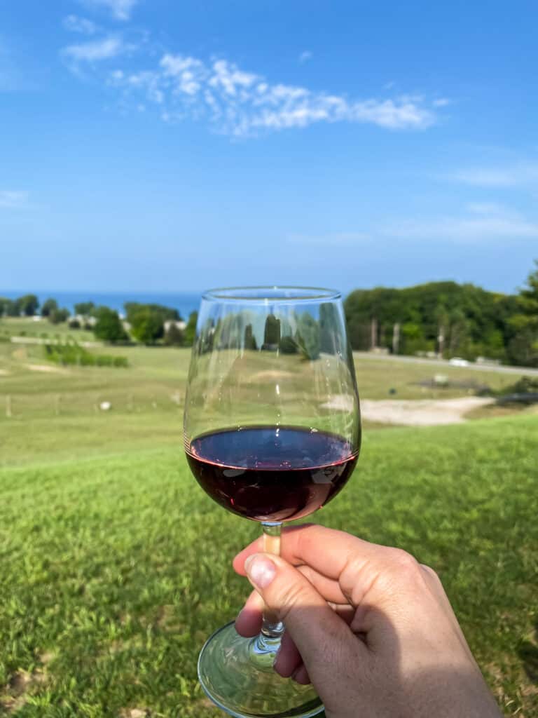 A person holding a glass of red wine in front of a field.