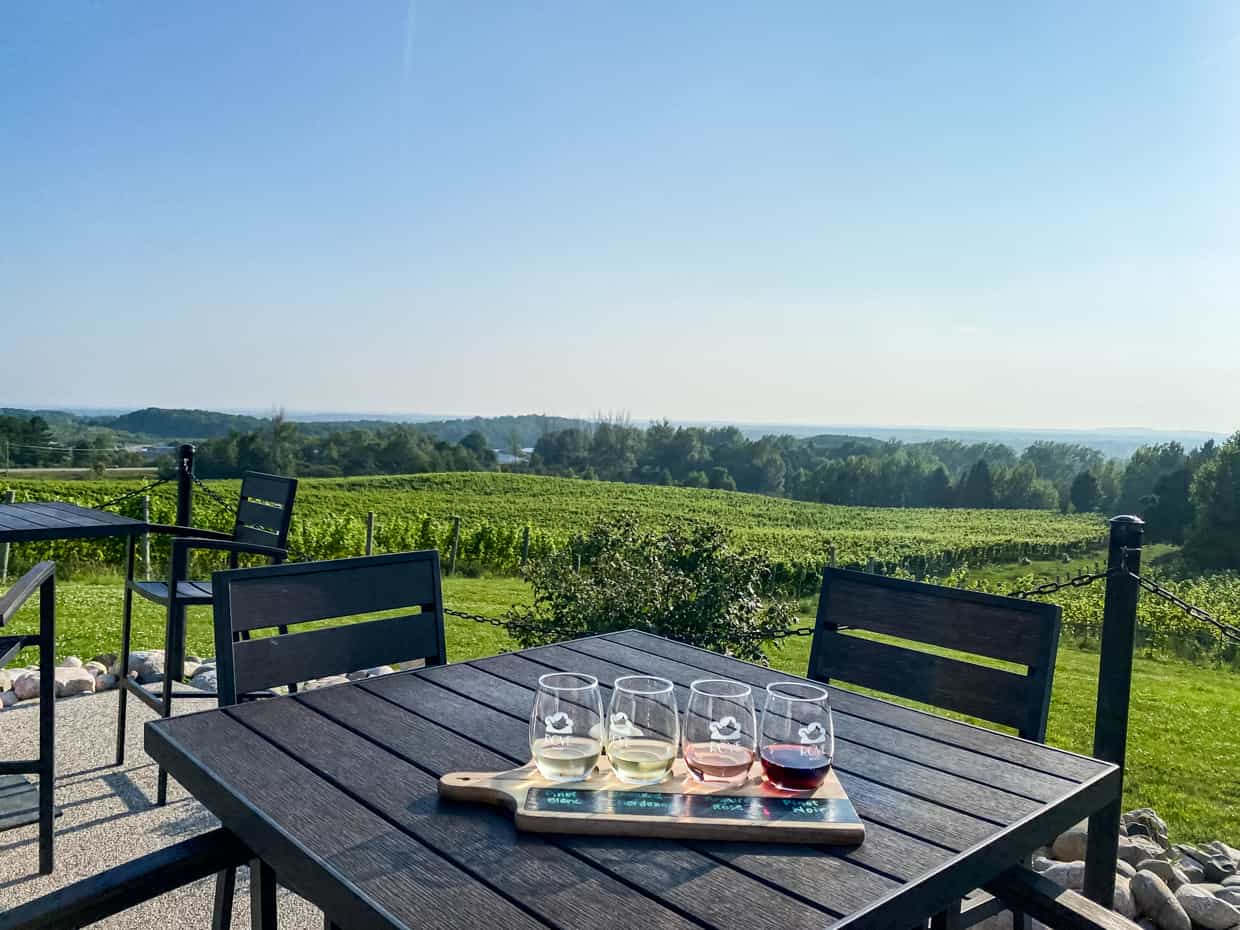 A table with wine glasses and a view of a vineyard.