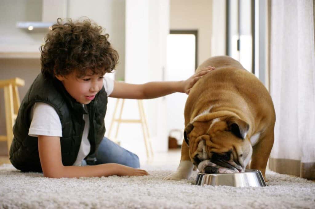 A young boy petting a bulldog on the floor.