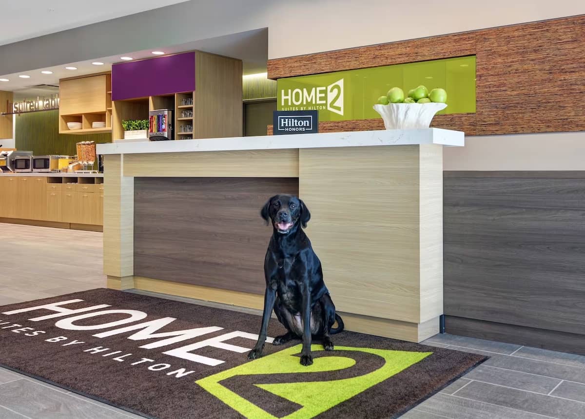 A dog sits on a mat in the lobby of a home2 suites.