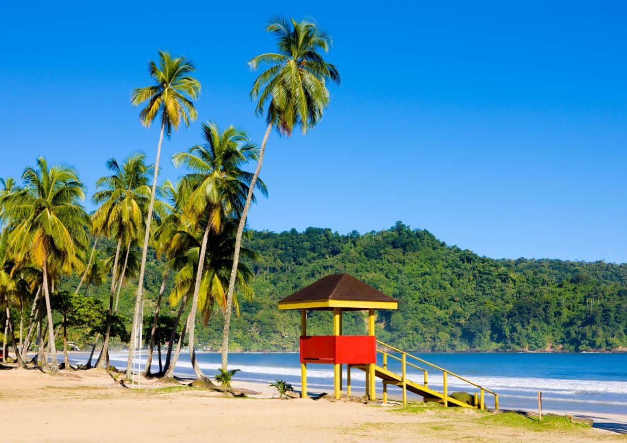 A beach with palm trees and a red lifeguard tower.