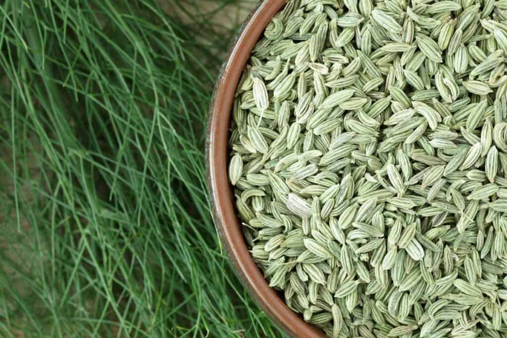 Fennel seeds in a brown bowl.