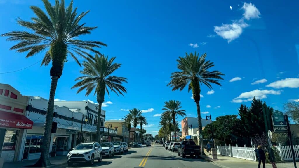 A picturesque street lined with vibrant palm trees and a scattering of parked cars, offering visitors a glimpse into the relaxed coastal charm of New Smyrna Beach.