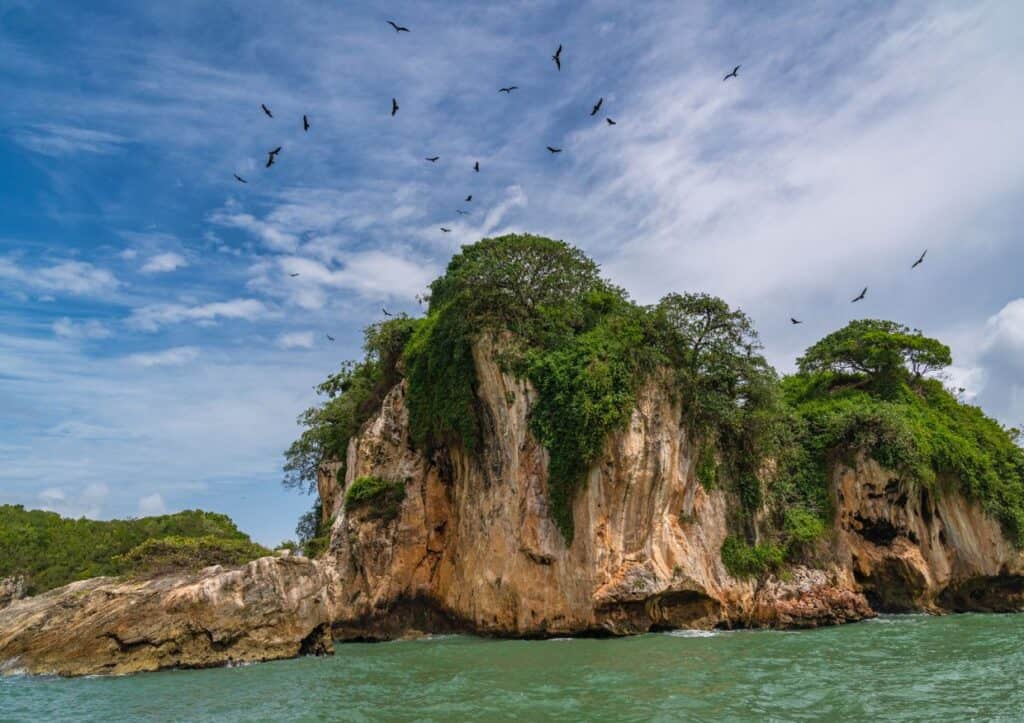 A group of birds flying over a rock formation in the ocean.