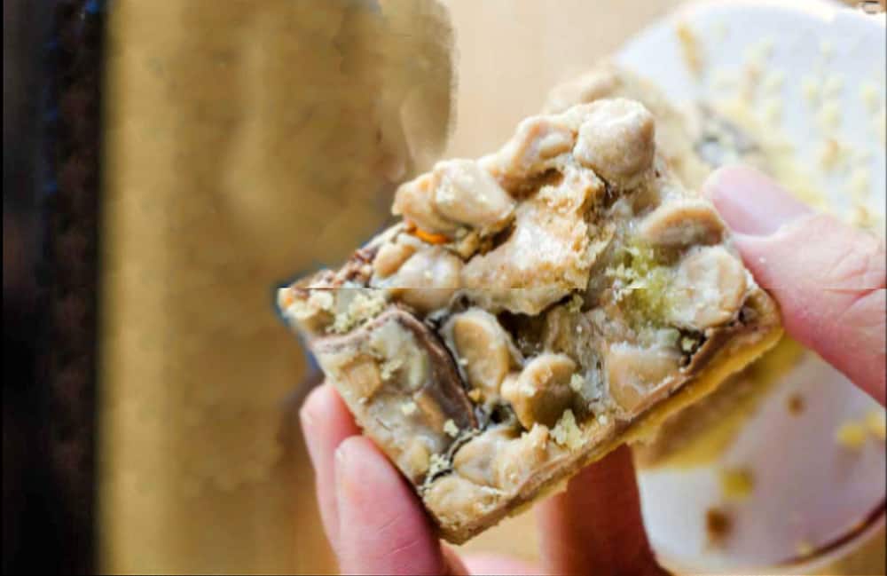 A person holding up a piece of Peanut Butter Cookies and Cream Bars.