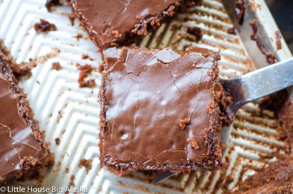 Slices of Texas sheet cake with chocolate frosting.