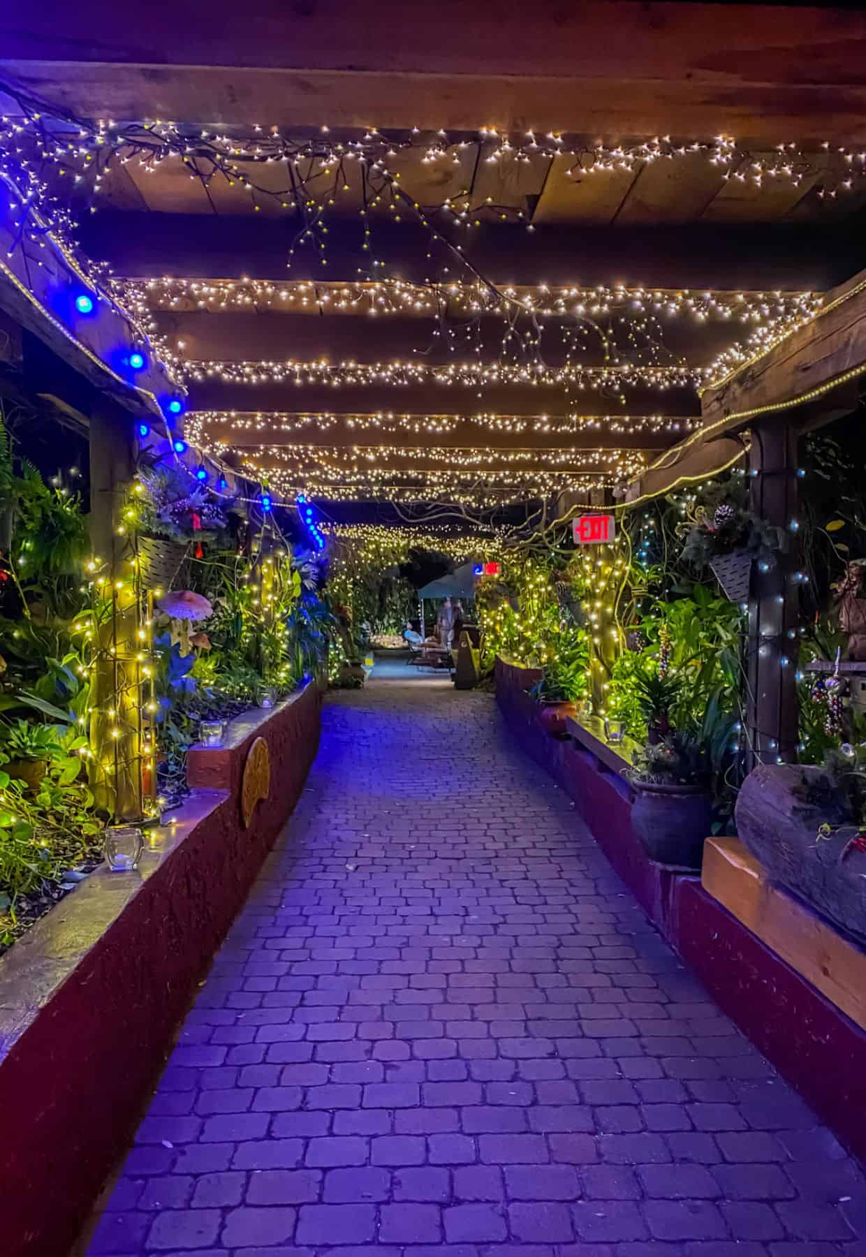 A walkway in New Smyrna Beach illuminated with blue and white lights, perfect for evening strolls.