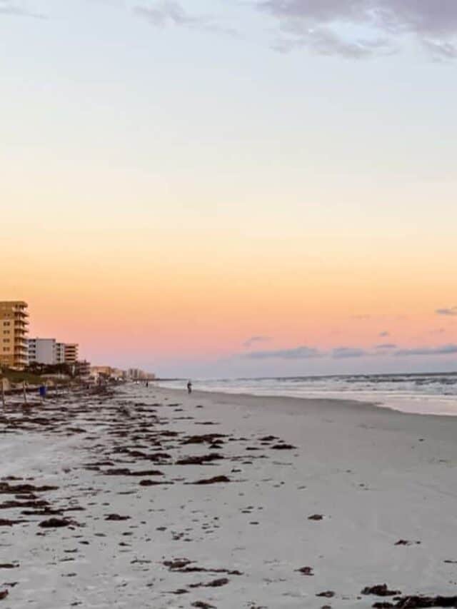 Things to do in New Smyrna Beach