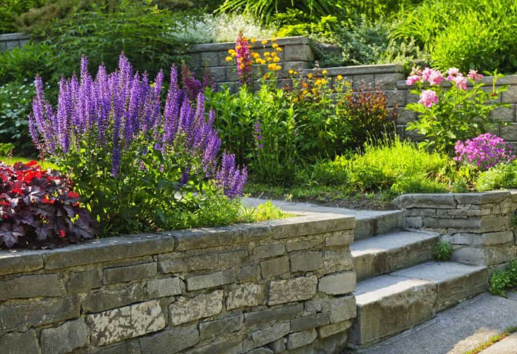 A garden with stone steps and flowers, tailored for a small garden.