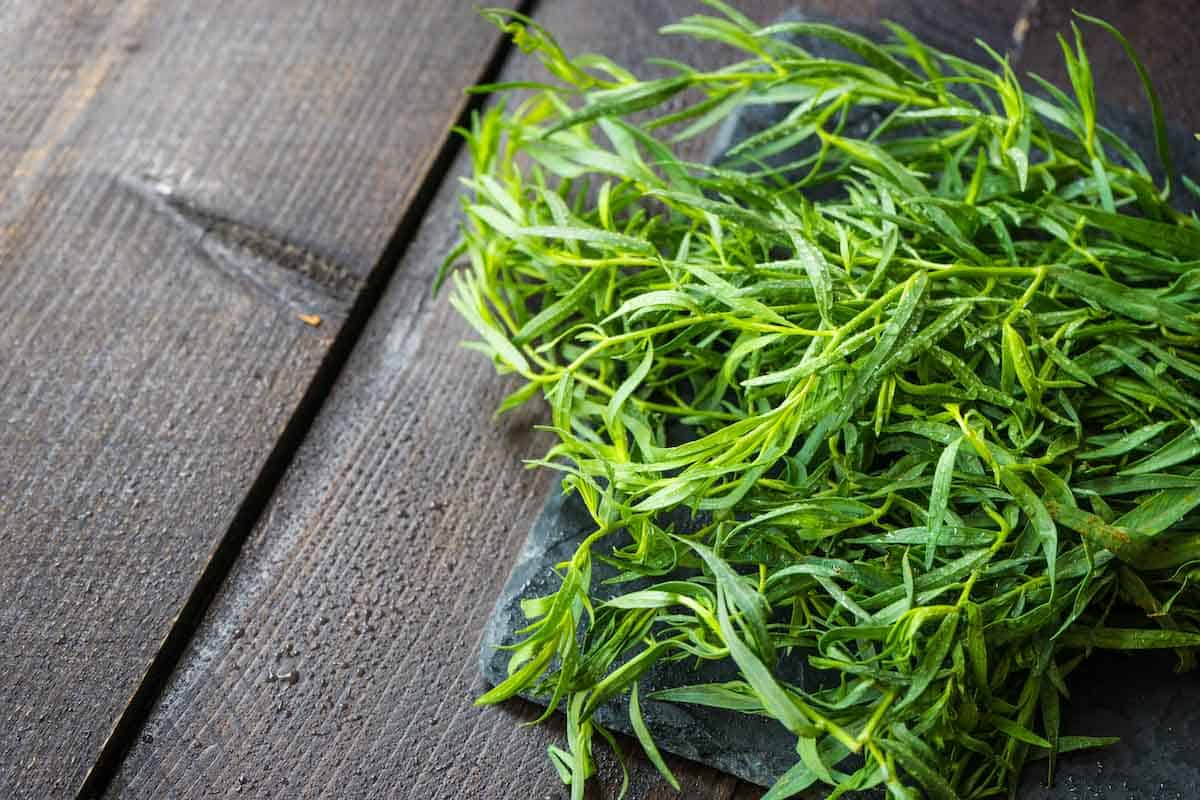 A bunch of tarragon on a wooden table.