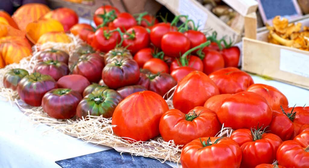 A display of tomatoes on a table.