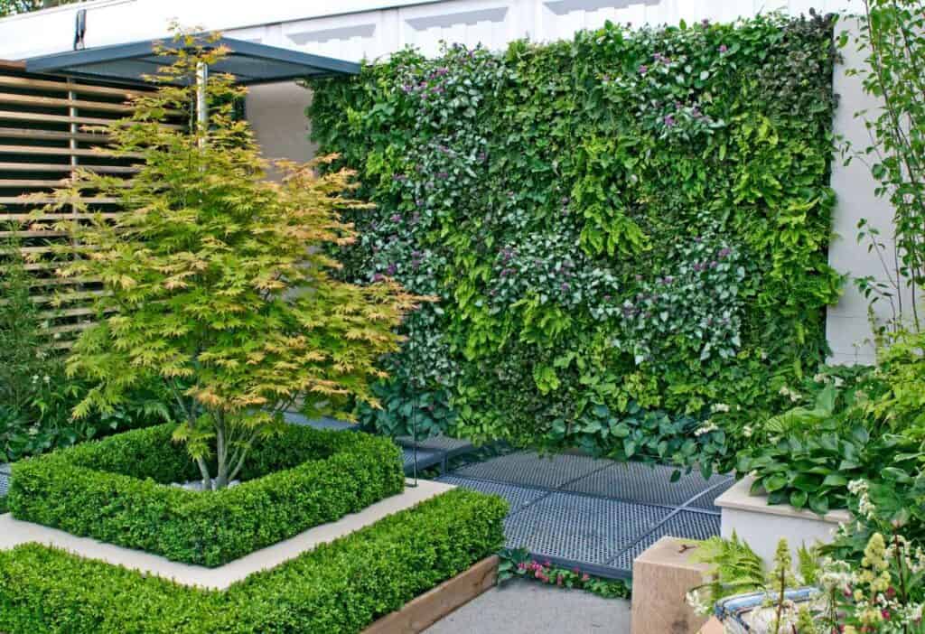 A small garden with a green wall, designed for a compact outdoor space.