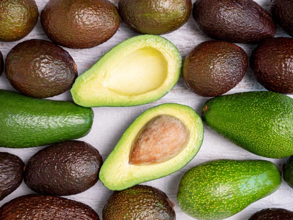 A group of avocados on a white background that showcases how to buy avocados.