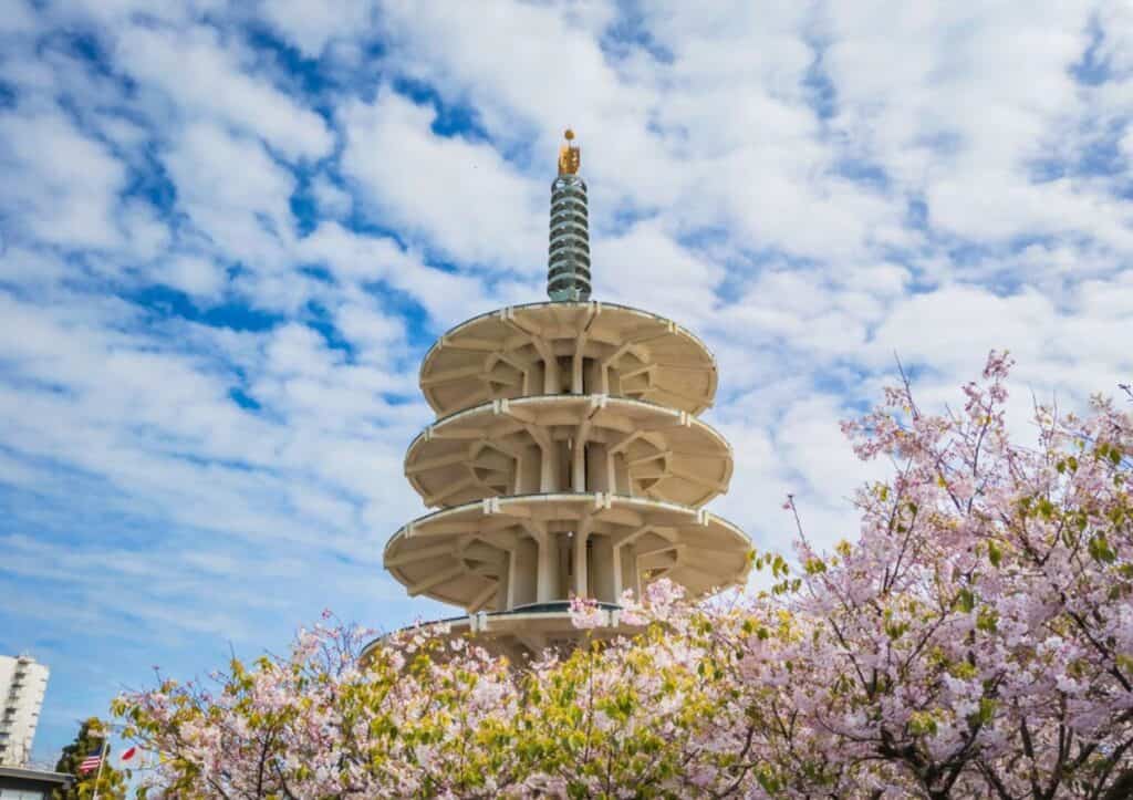 A pagoda with cherry blossoms in the background, offering a perfect setting to observe this beautiful natural phenomenon.
