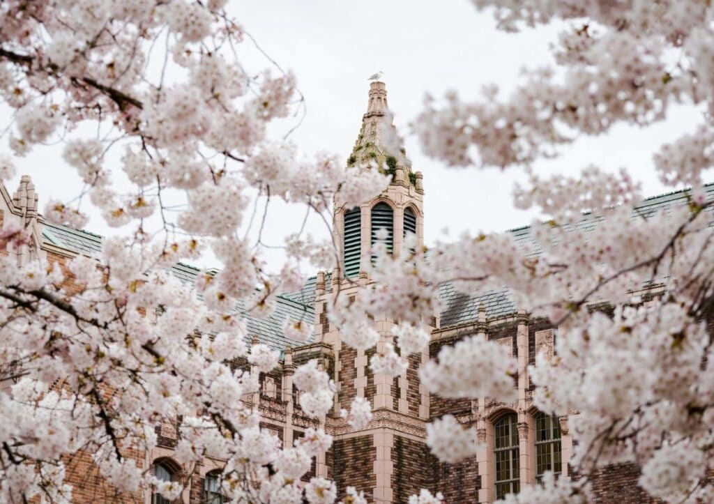 A building with a tower surrounded by lush cherry blossoms, creating an enchanting spot to witness the ephemeral beauty of these delicate flowers.