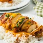 Chicken enchiladas on a plate with rice and sauce.