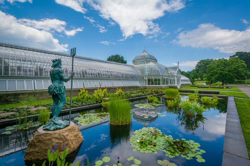 A pond with lily pads and a statue in front of a greenhouse.