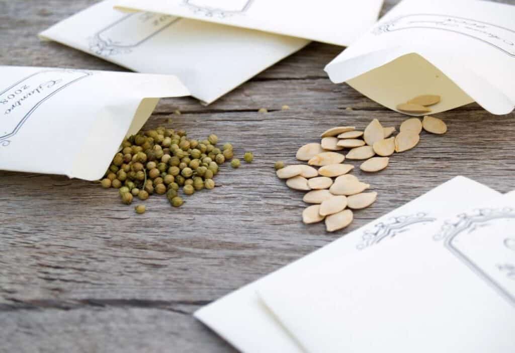 Seeds and seeds in paper bags on a wooden table.
