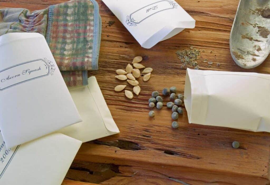 A group of paper bags with heirloom seeds and a spoon on a wooden table.