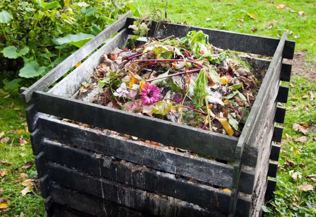 A wooden box filled with compost in a garden.