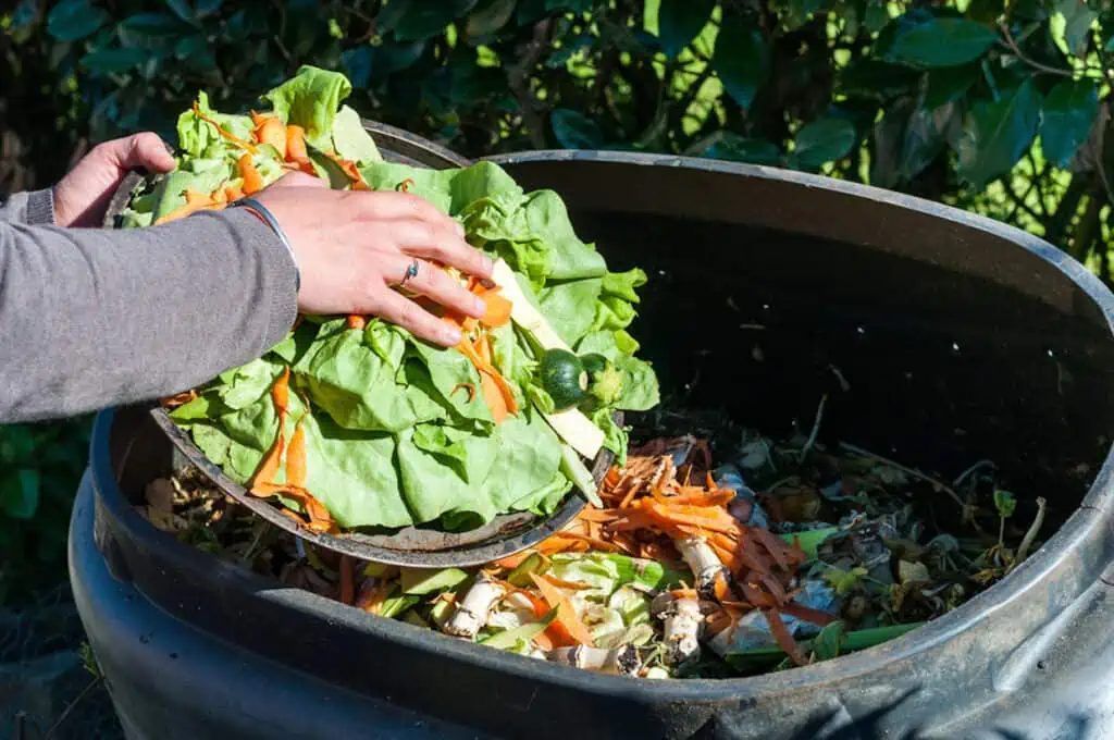 A person composting in winter by putting food scraps into a compost bin.