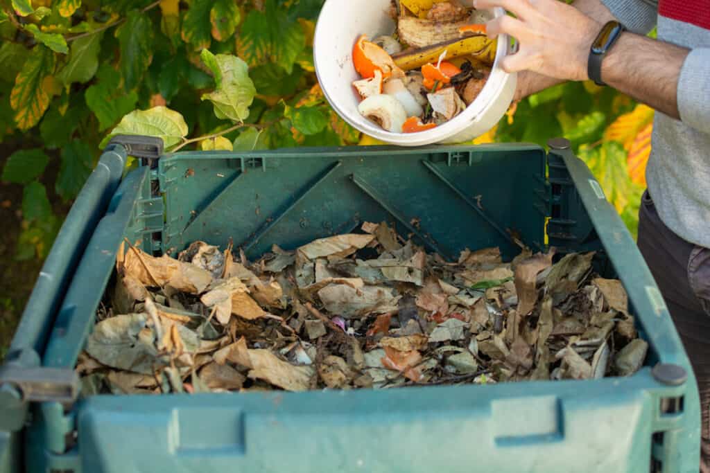 A man carefully pours compost into a green bin, taking extra care during composting in winter.