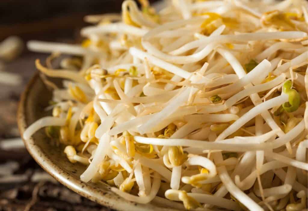 A bowl of mung bean sprouts on a wooden table.