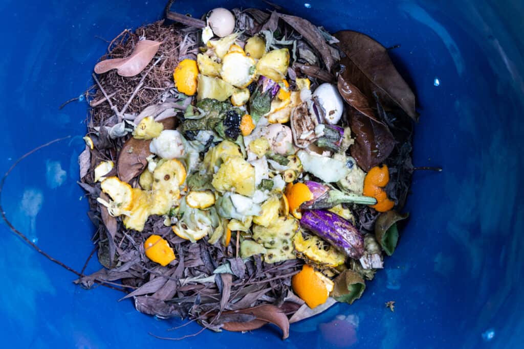 A blue bucket filled with an abundance of food, perfect for composting in winter.