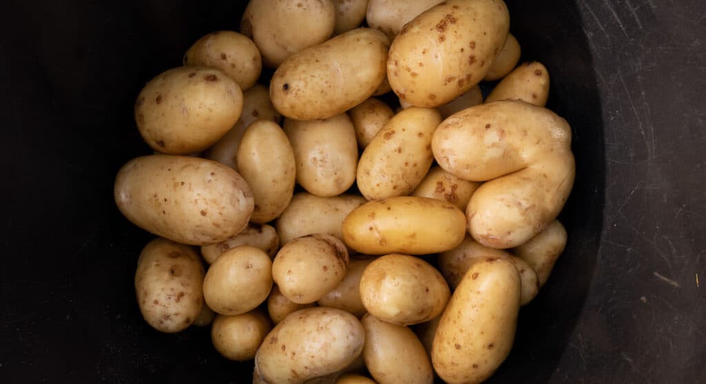 A bowl full of potatoes on a black surface.