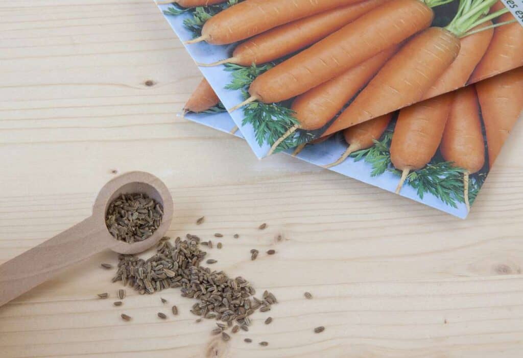 A wooden spoon with carrot seeds spilling onto a table, with an image of carrots in the background.