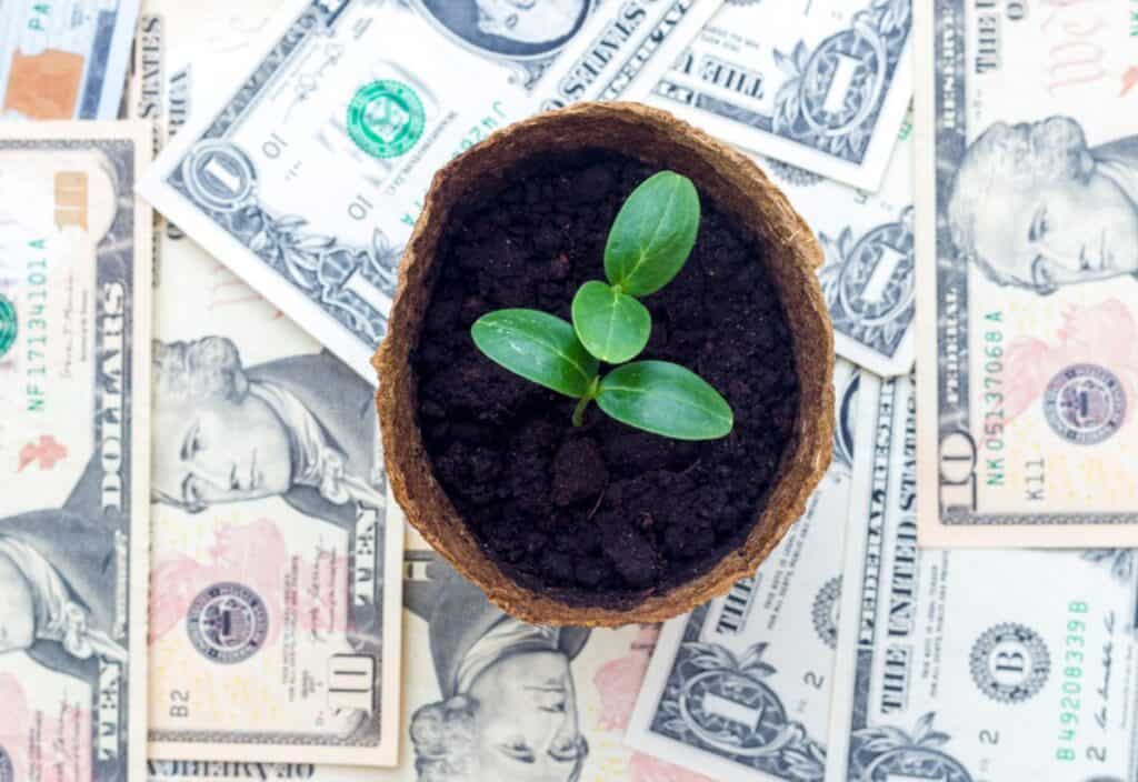 A young plant growing in a pot on a background of various us dollar bills.