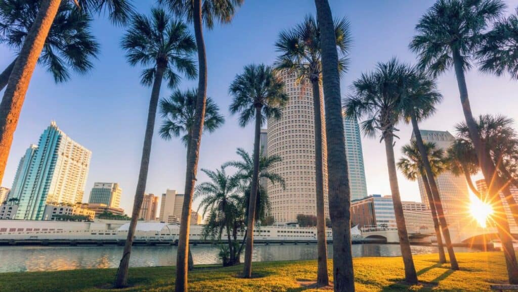 Sunset over a waterfront cityscape with palm trees, modern buildings, and things to do in Tampa.