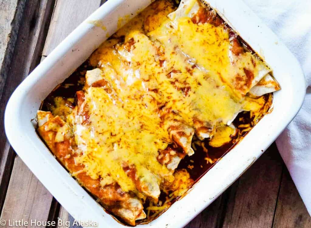 A baking dish filled with freshly baked enchiladas topped with melted cheese.