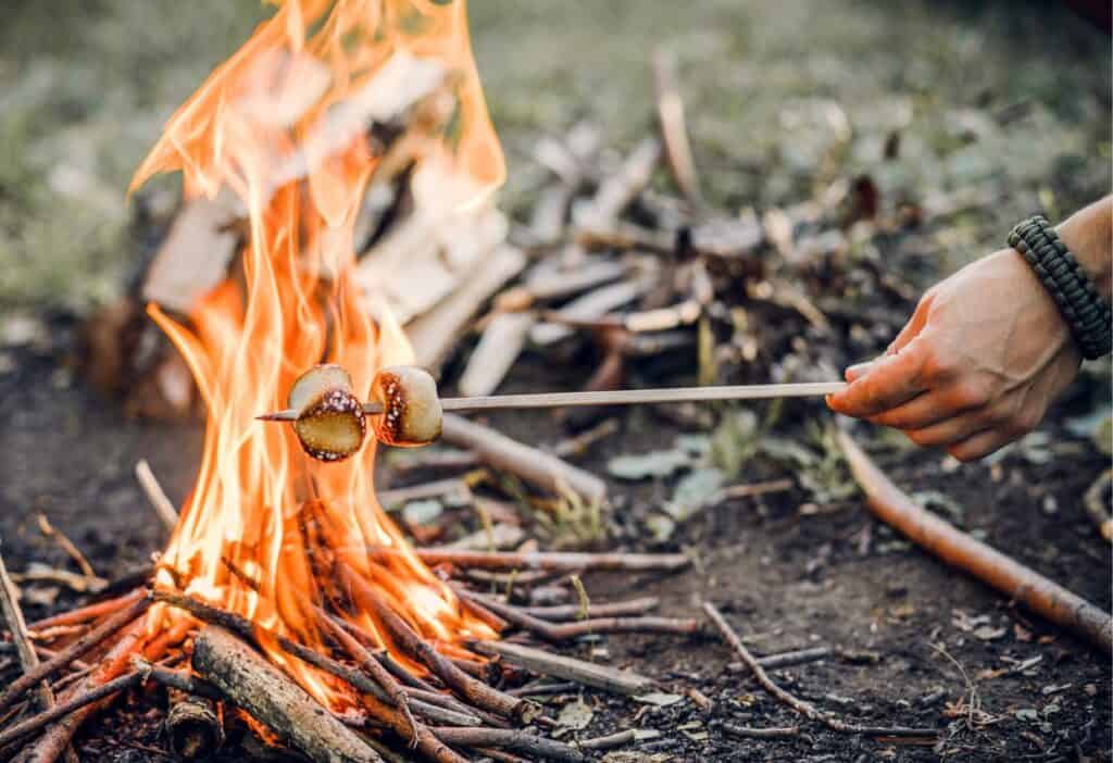 Roasting marshmallows over an open campfire, a classic camping food idea.