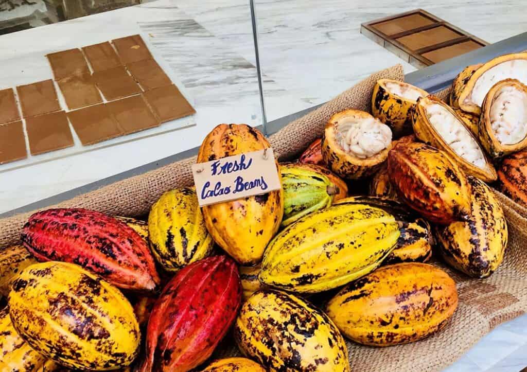Assorted cocoa pods displayed next to chocolate bars with a sign reading "fresh cacao beans.